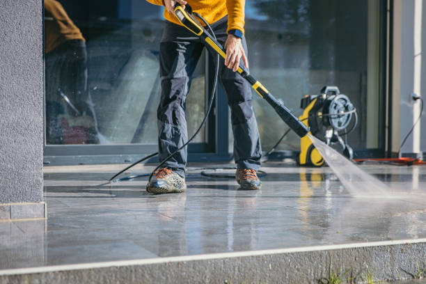 Best Roof Washing  in Buffalo, MN