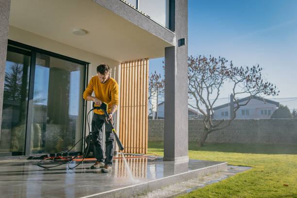 Best Pre-Holiday Cleaning  in Buffalo, MN